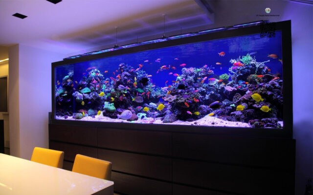 acrylic aquarium (131) acrylic aquarium (131)