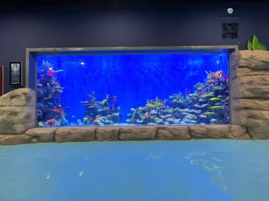 acrylic aquarium (2) acrylic aquarium (2)
