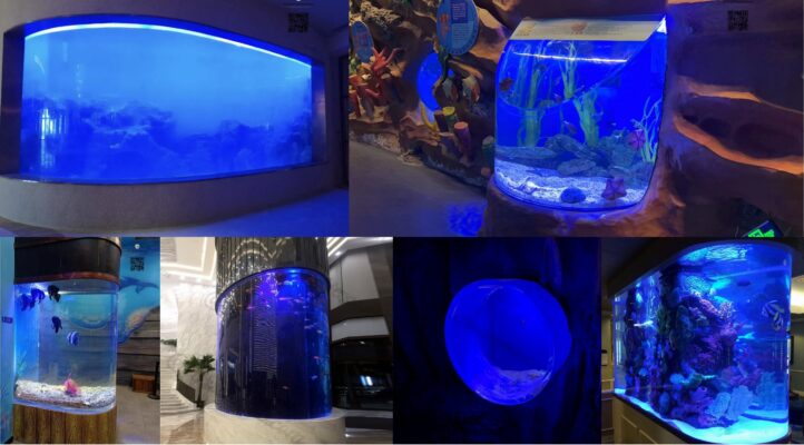 fish tank acrylic in different shapes fish tank acrylic in different shapes