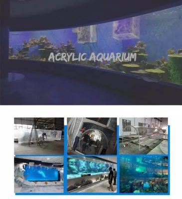 Square acrylic aquarium fish tank
