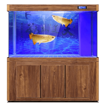 Acrylic Fish tank