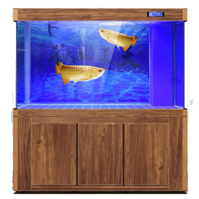 acrylic fish tank