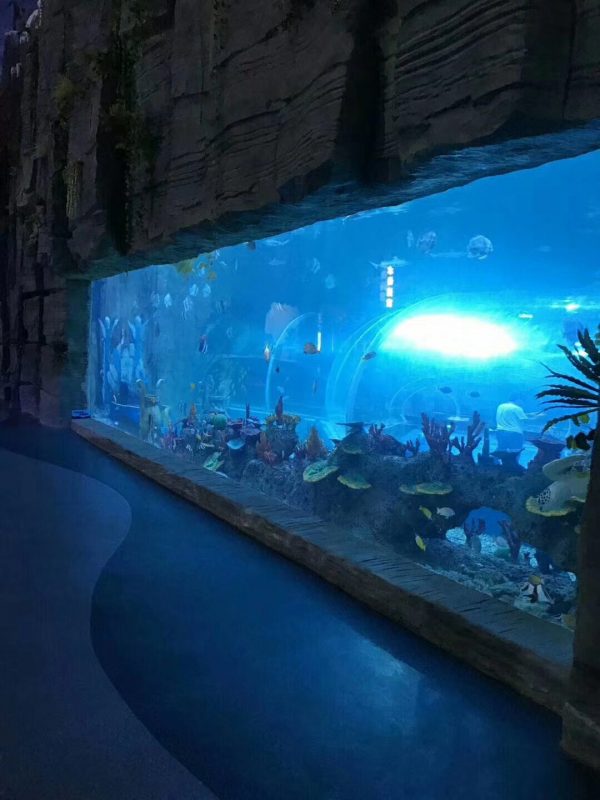 Mid-size Fish Tank