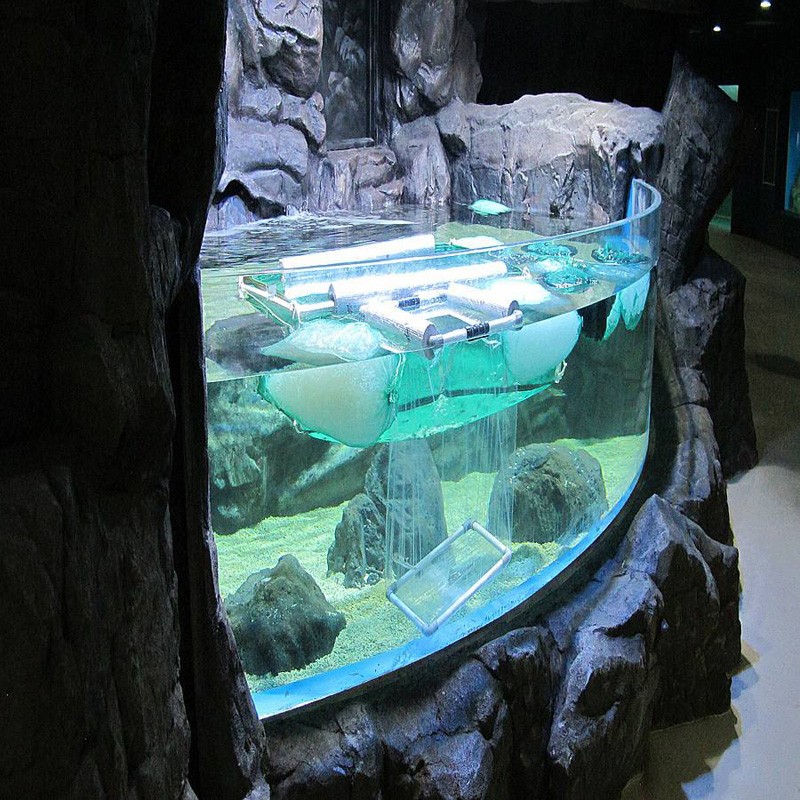 acrylic fish aquarium 1