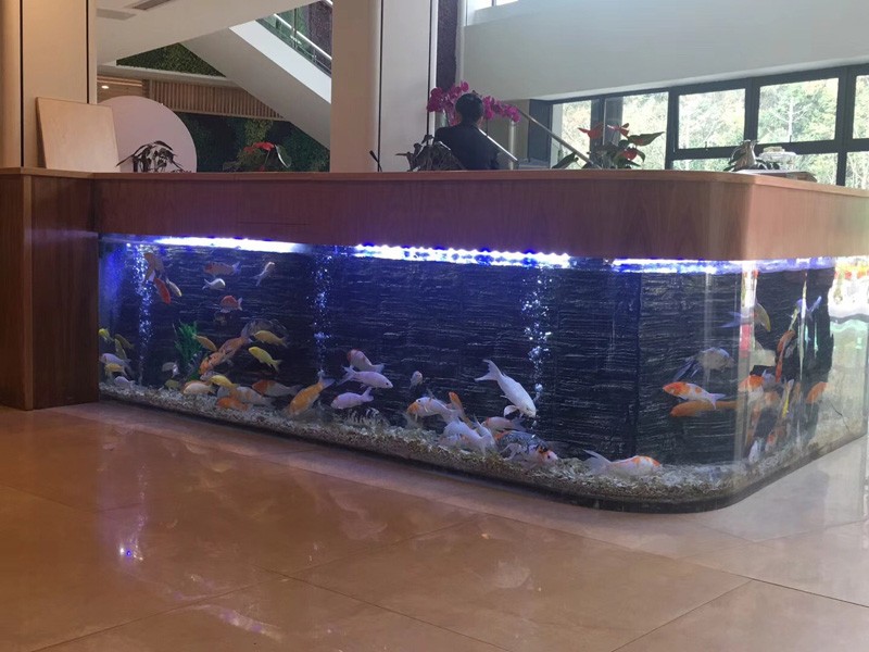 acrylic fish tank 100 1