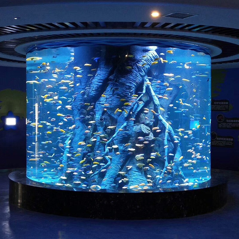 cylinder acrylic fish tank 13