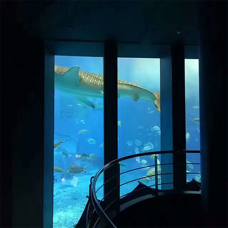 Acrylic swimming pool Aquarium