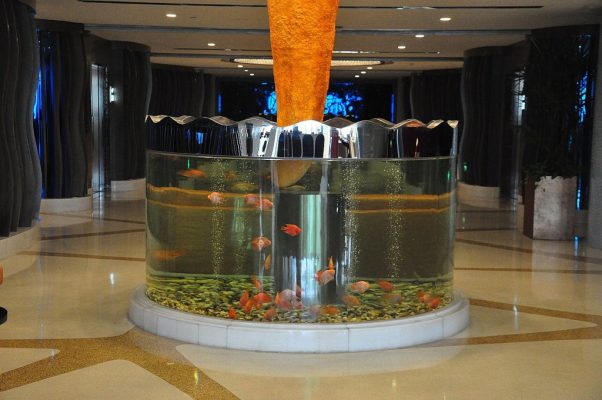 circle tank, advantages and disadvantages of acrylic fish tank