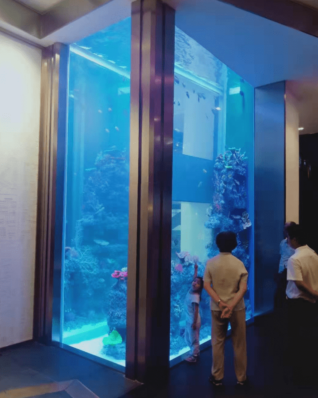 aquarium 17