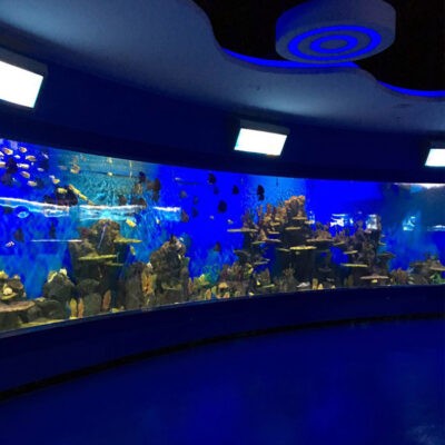 aquarium panel