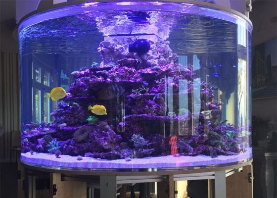 cylinder aquarium