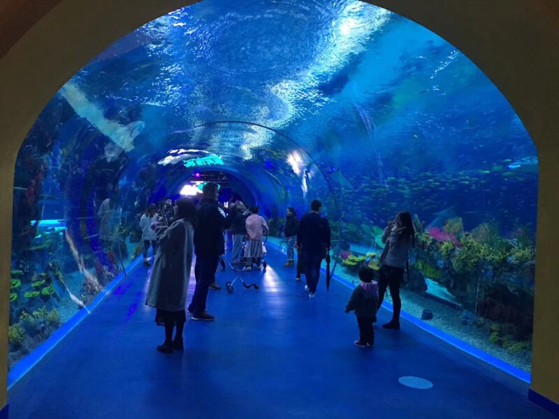 tunnel aquarium
