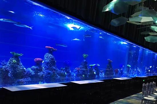 acrylic aquarium manufacturer 53
