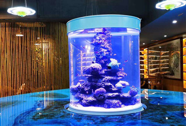 Glass vs Acrylic Fish Tanks  Serenity Aquarium & Aviary Services