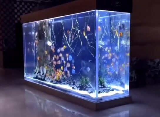 aquarium wall factory