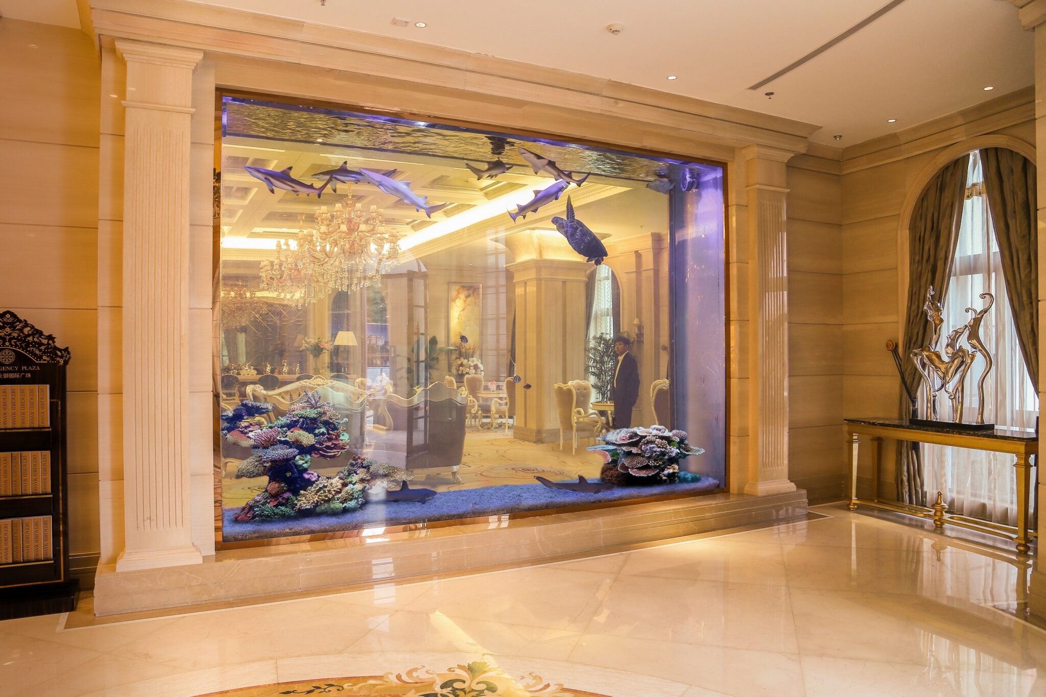 Acrylic Aquarium Fish Tanks The Benefits and Advantages