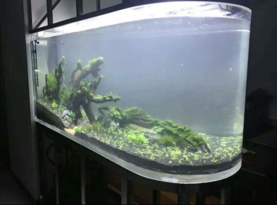 acrylic Fish Tank Aquarium (138)