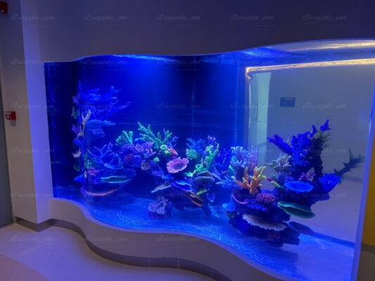 customize fish tank