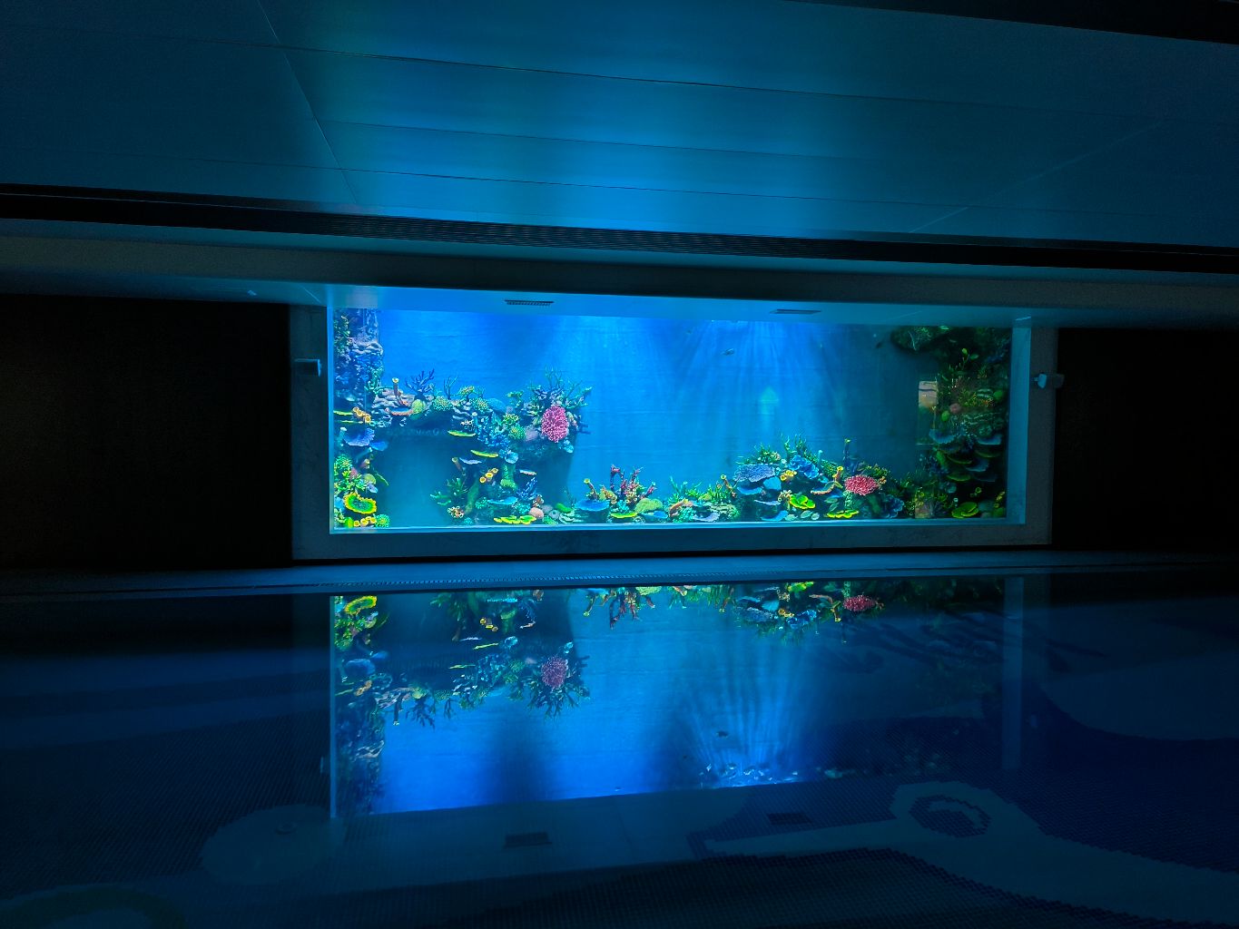 acrylic fish tank (181)