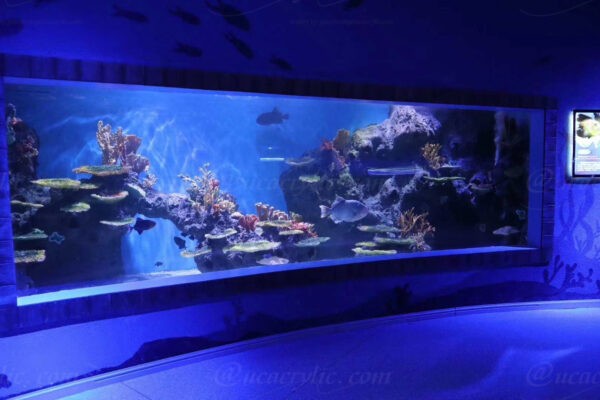 acrylic fish tank (344)