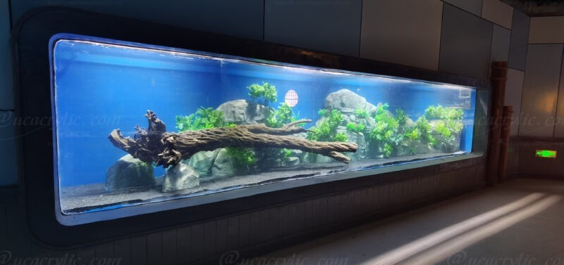 Crystal-clear acrylic fish tank with vibrant tropical fish and aquatic plants under LED lighting.