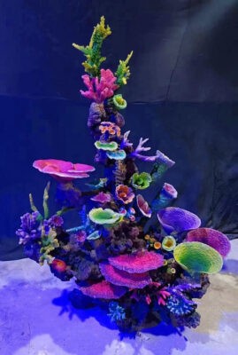 aquarium landscape