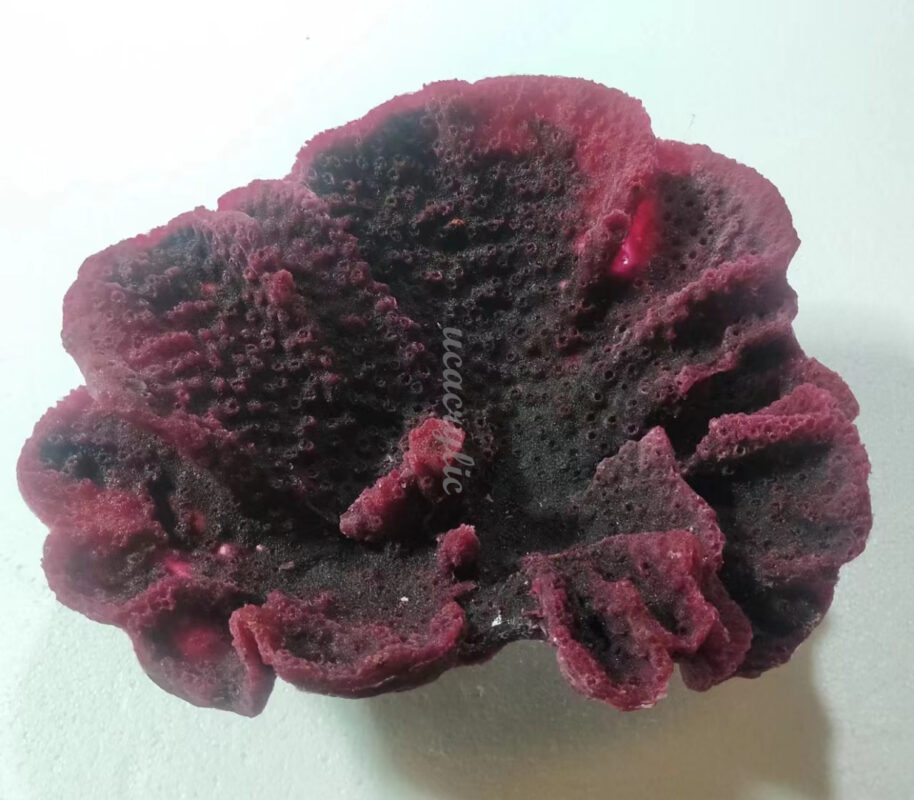 artificial coral decor