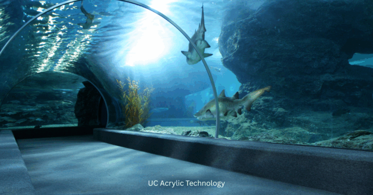 Acrylic Fish tank Aquarium